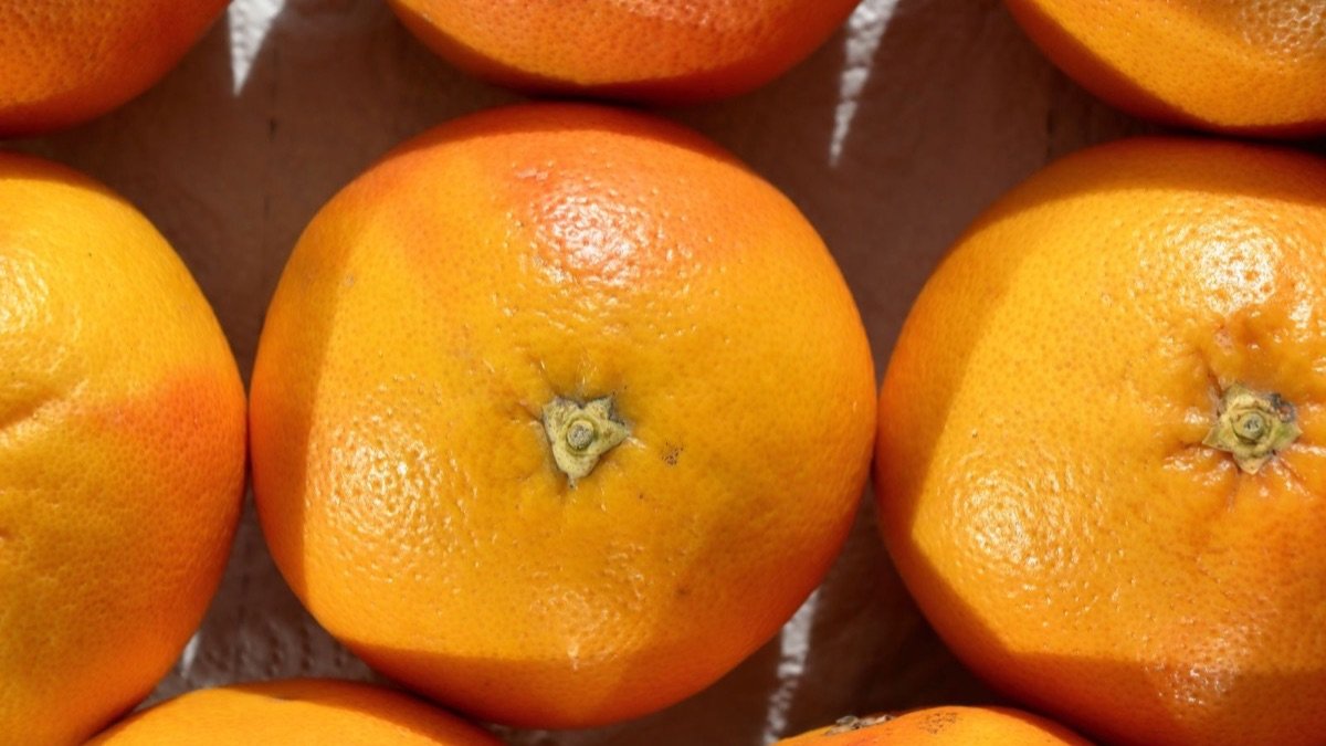 Fresh oranges in sunlight, a natural source of vitamin C