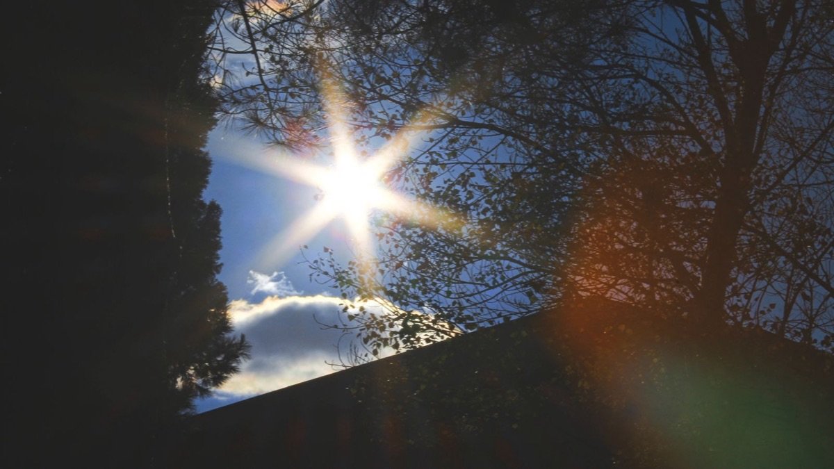 Sunlight bursting through trees, a natural source of vitamin D